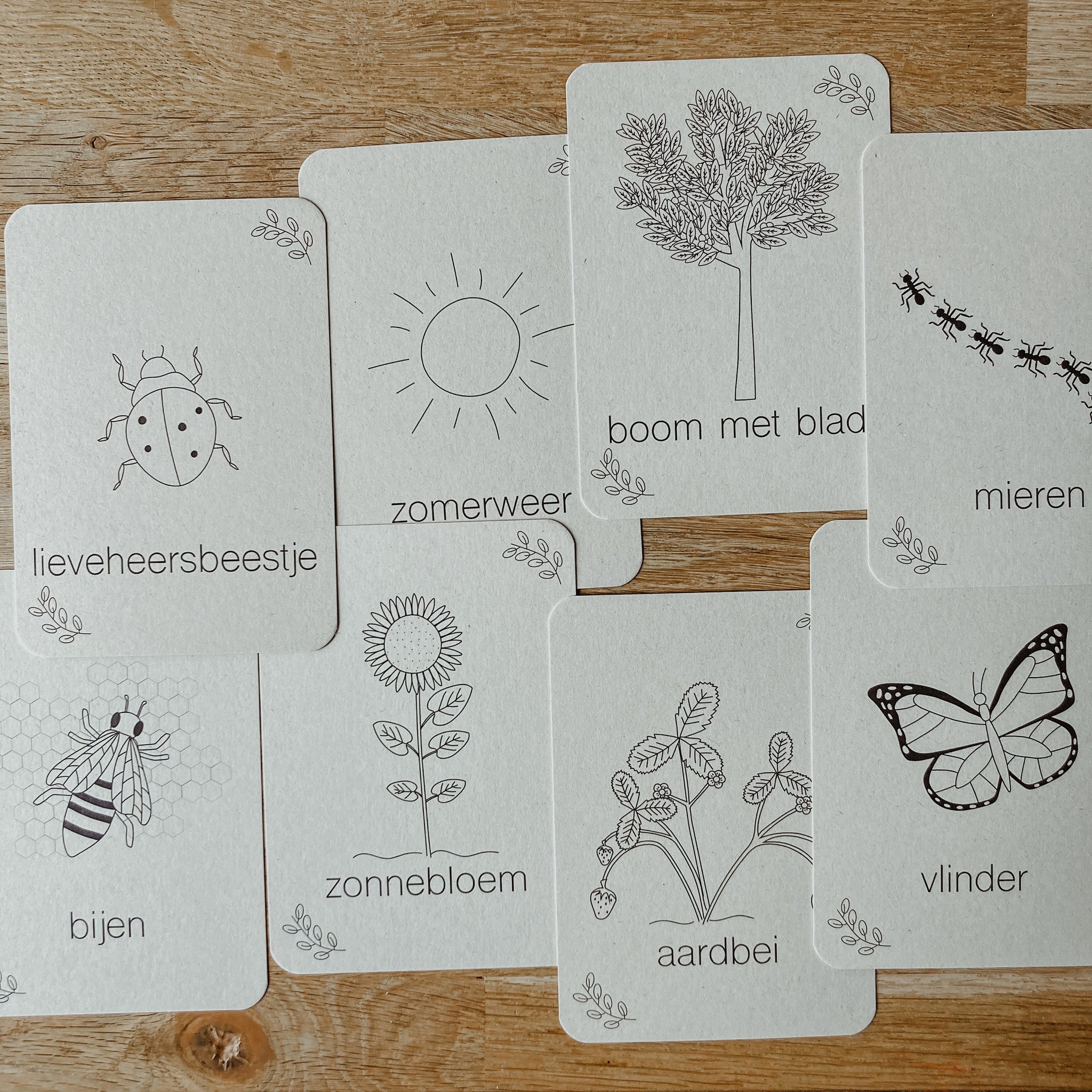 Flashcards Zomer