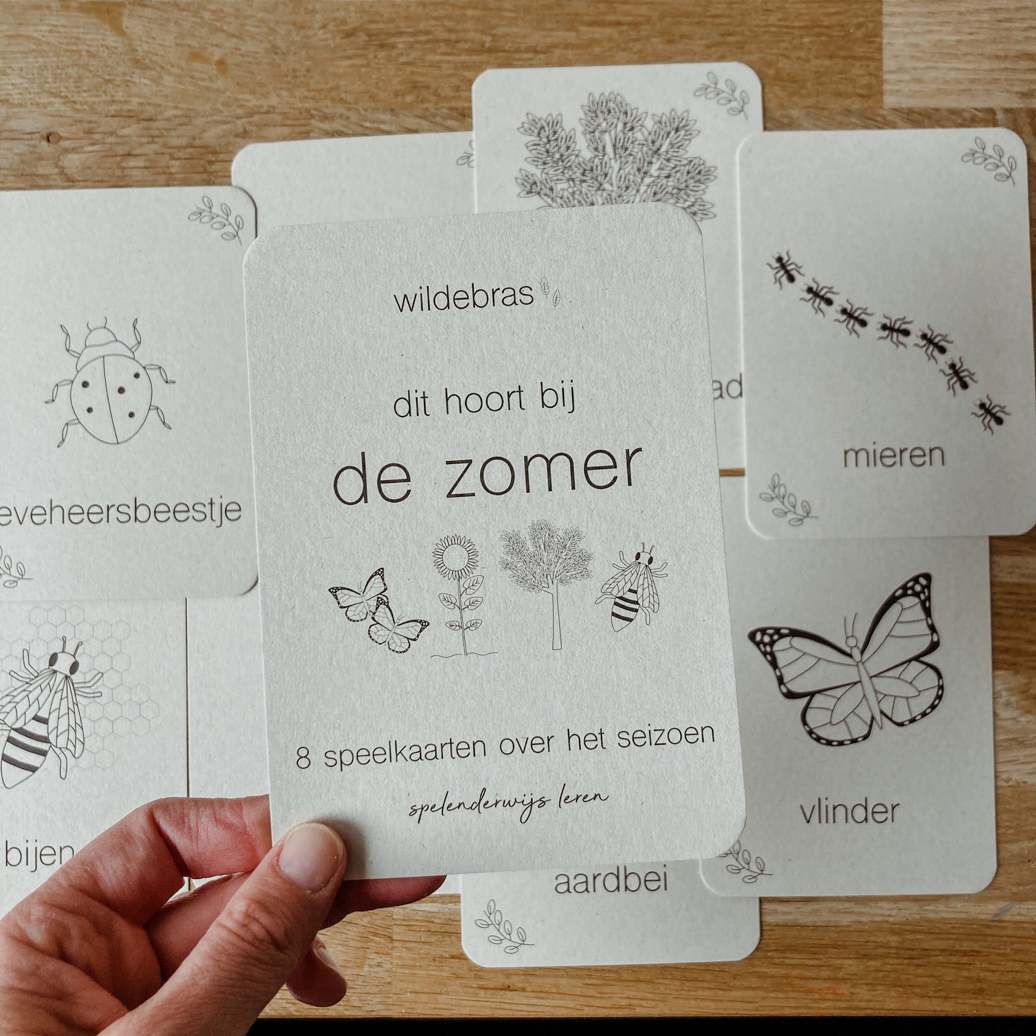 Flashcards Zomer