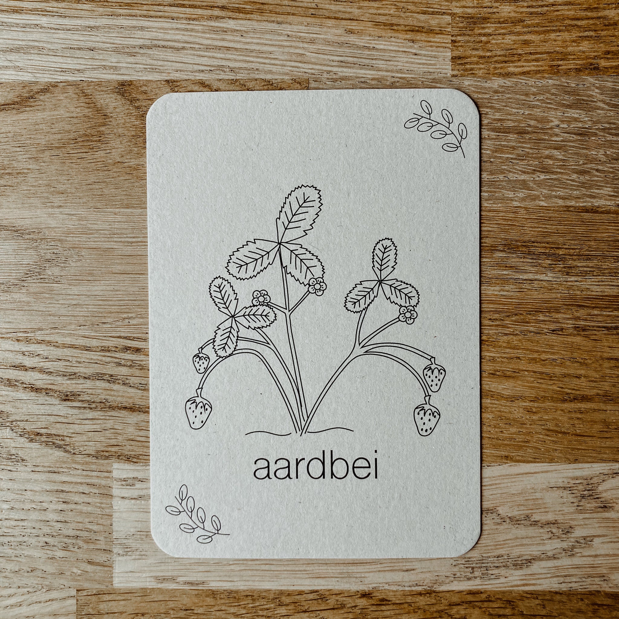 Flashcards Zomer