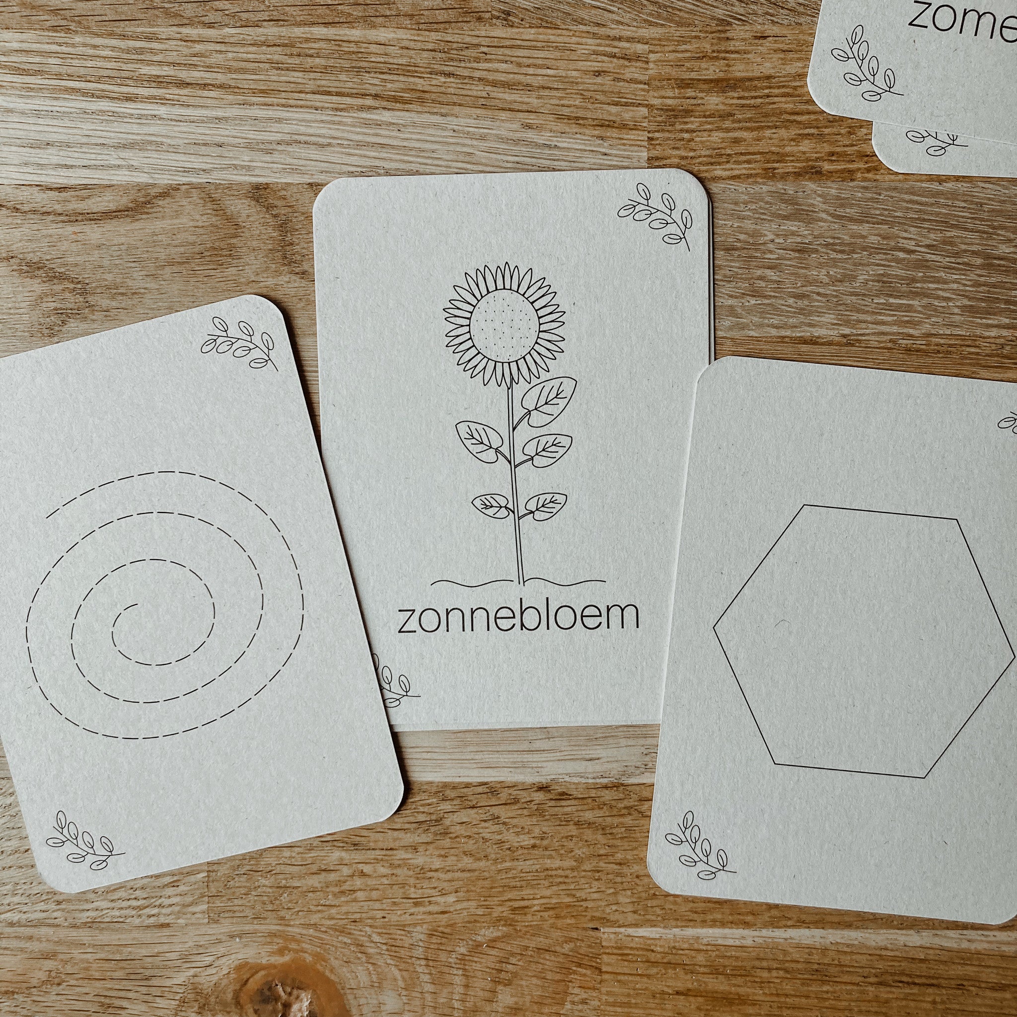 Flashcards Zomer