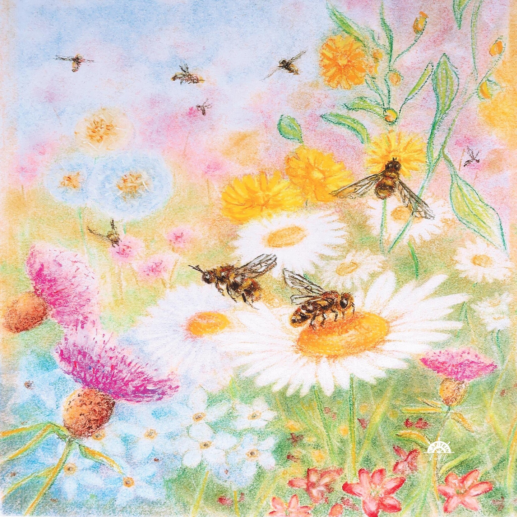Silhouette Bee Pastures - Kapitein Kalk