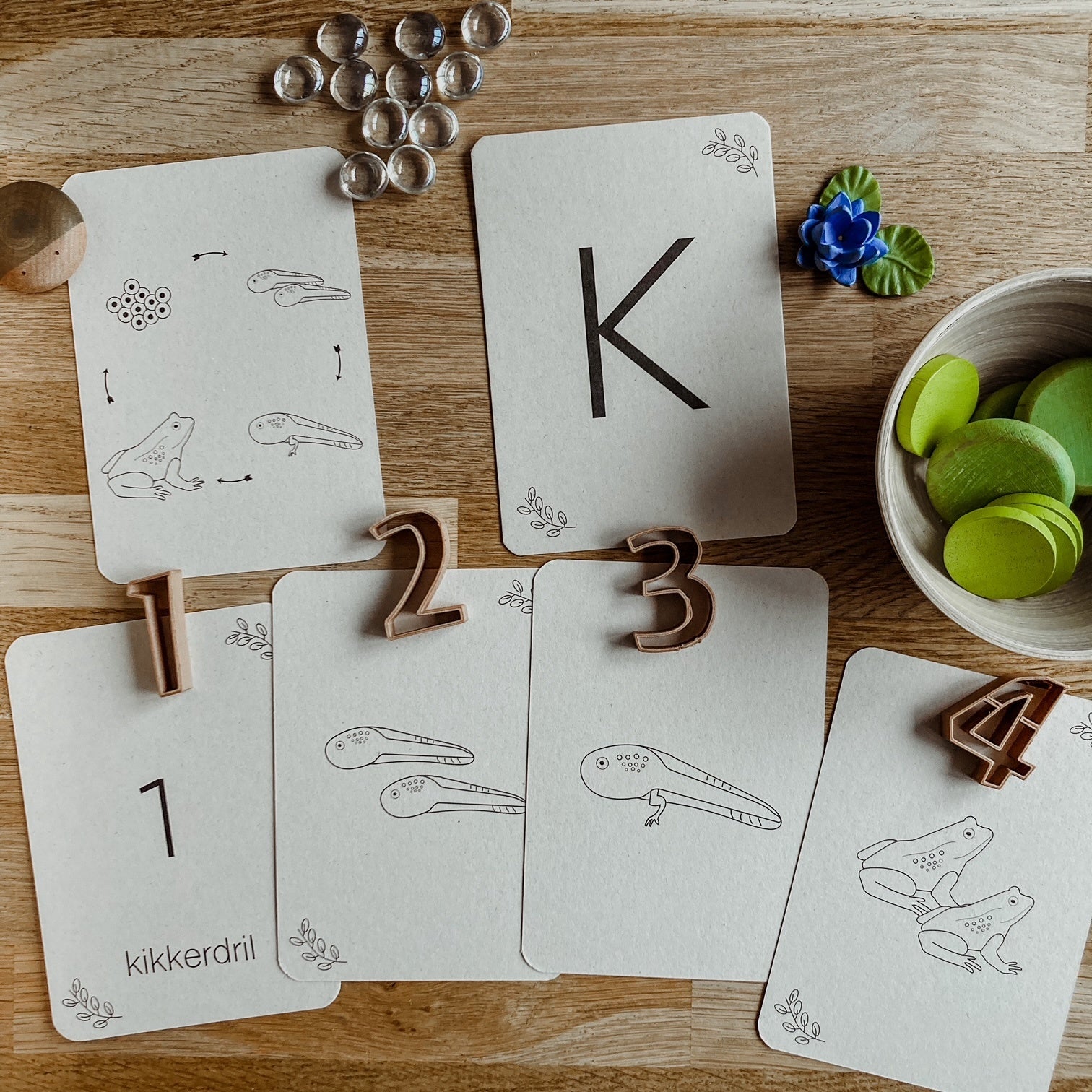 Flashcards Lifecycle - kip, kikker, vlinder, narcis
