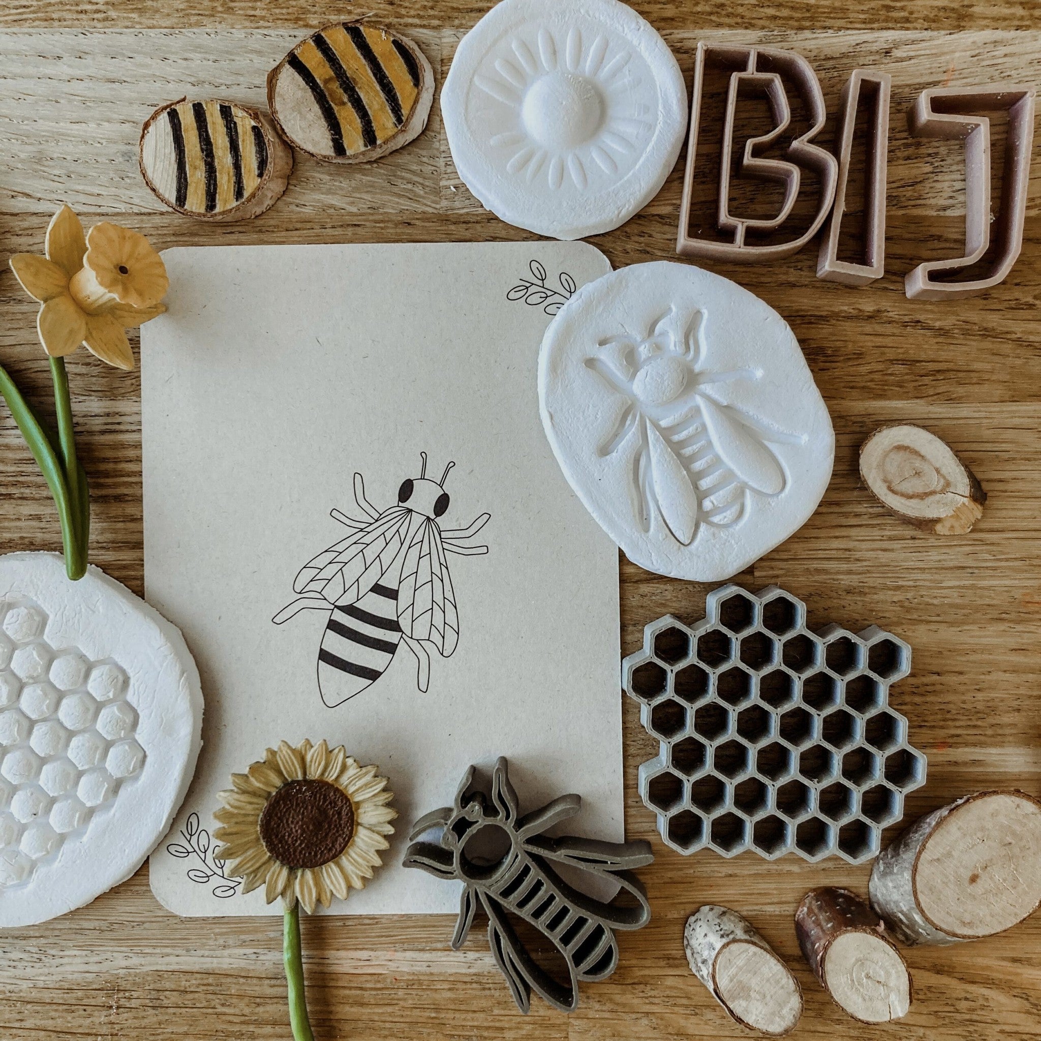 Flashcards Lifecycle - lieveheersbeestje, bij, paardenbloem, zonnebloem