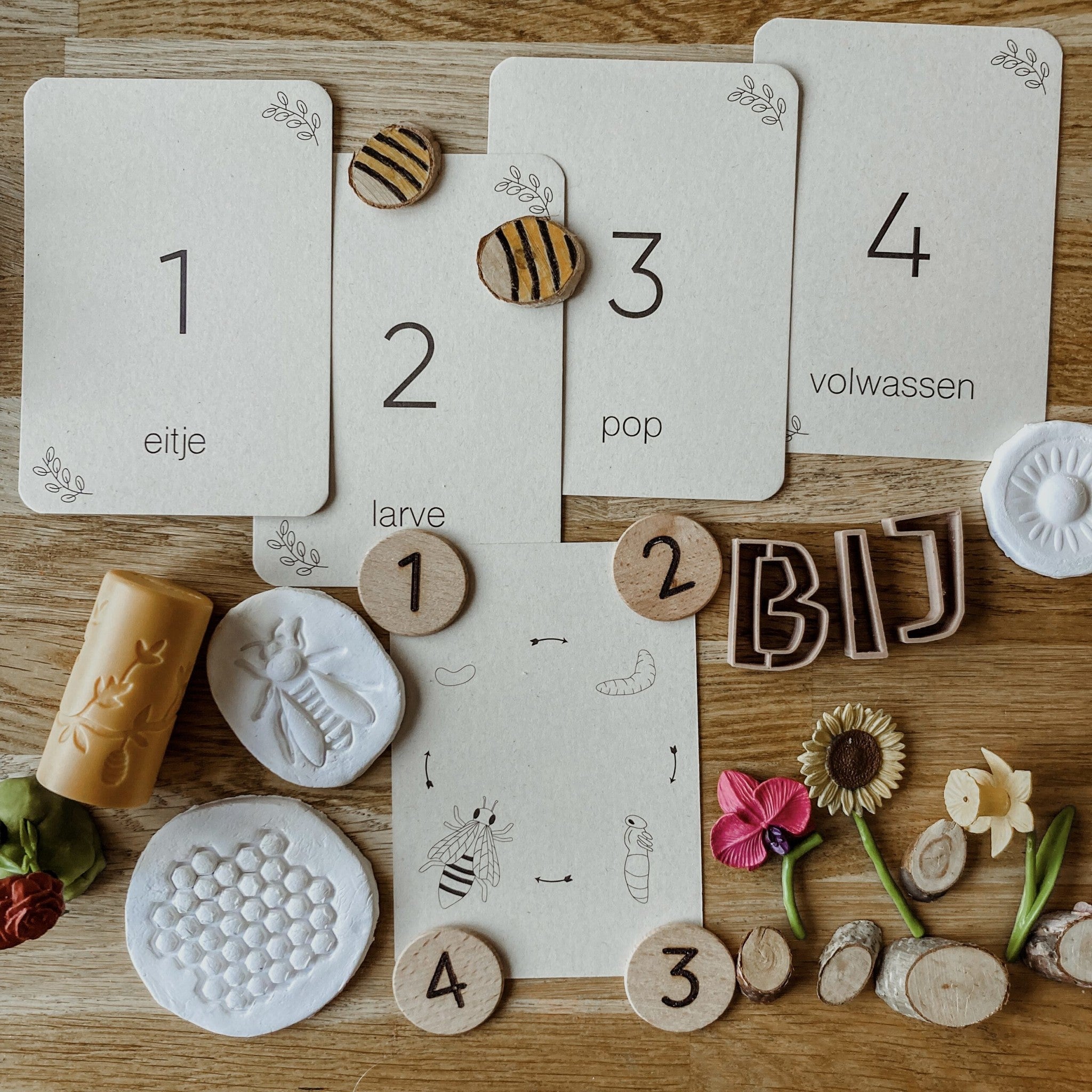 Flashcards Lifecycle - lieveheersbeestje, bij, paardenbloem, zonnebloem