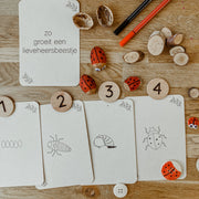 Flashcards Lifecycle - lieveheersbeestje, bij, paardenbloem, zonnebloem
