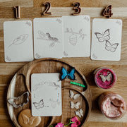 Flashcards Lifecycle - vlinder