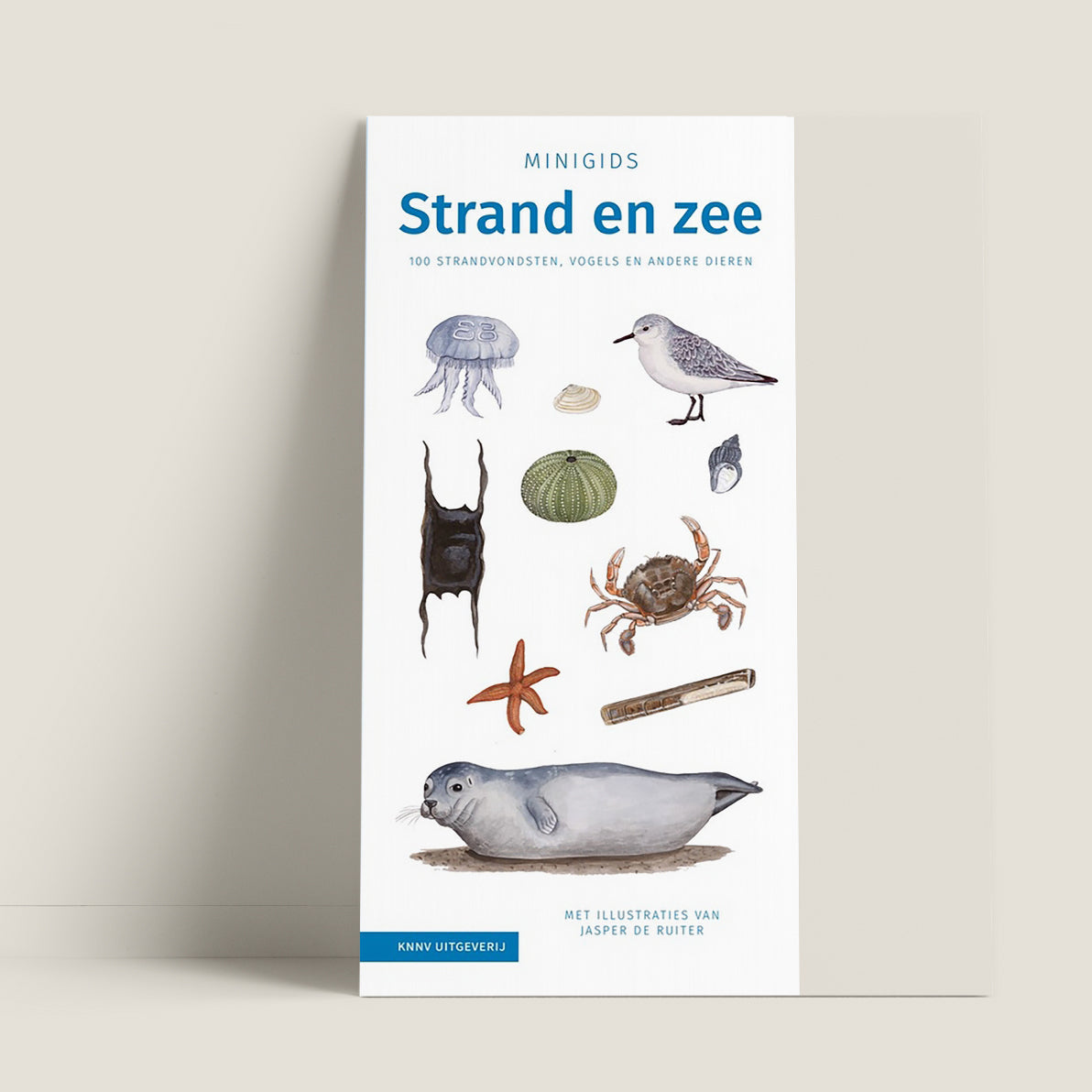 Minigids Strand en Zee