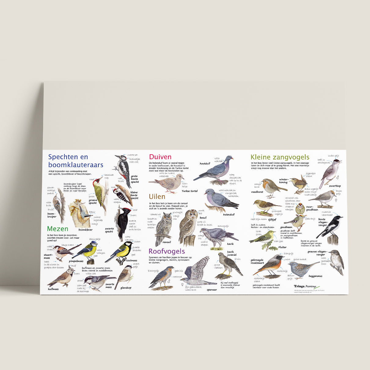 Wie ben ik? Zoekkaart Bosvogels