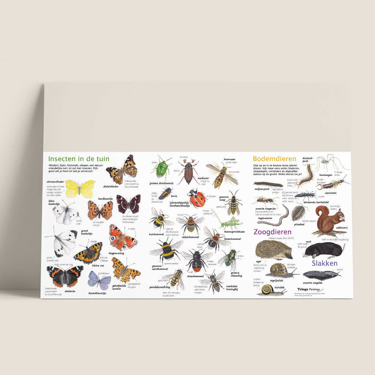 Wie ben ik? Zoekkaart Dieren in de tuin