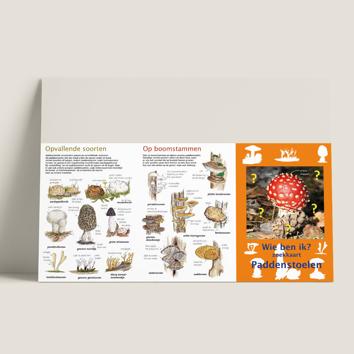 Wie ben ik? Zoekkaart Paddenstoelen