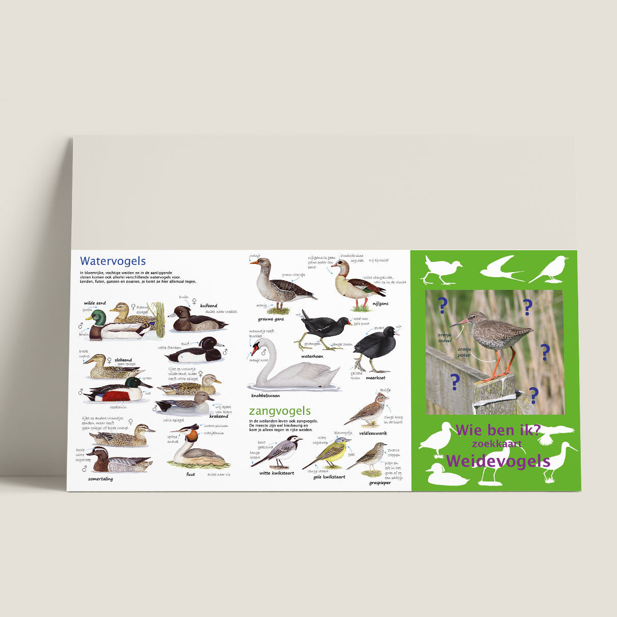 Wie ben ik? Zoekkaart Weidevogels