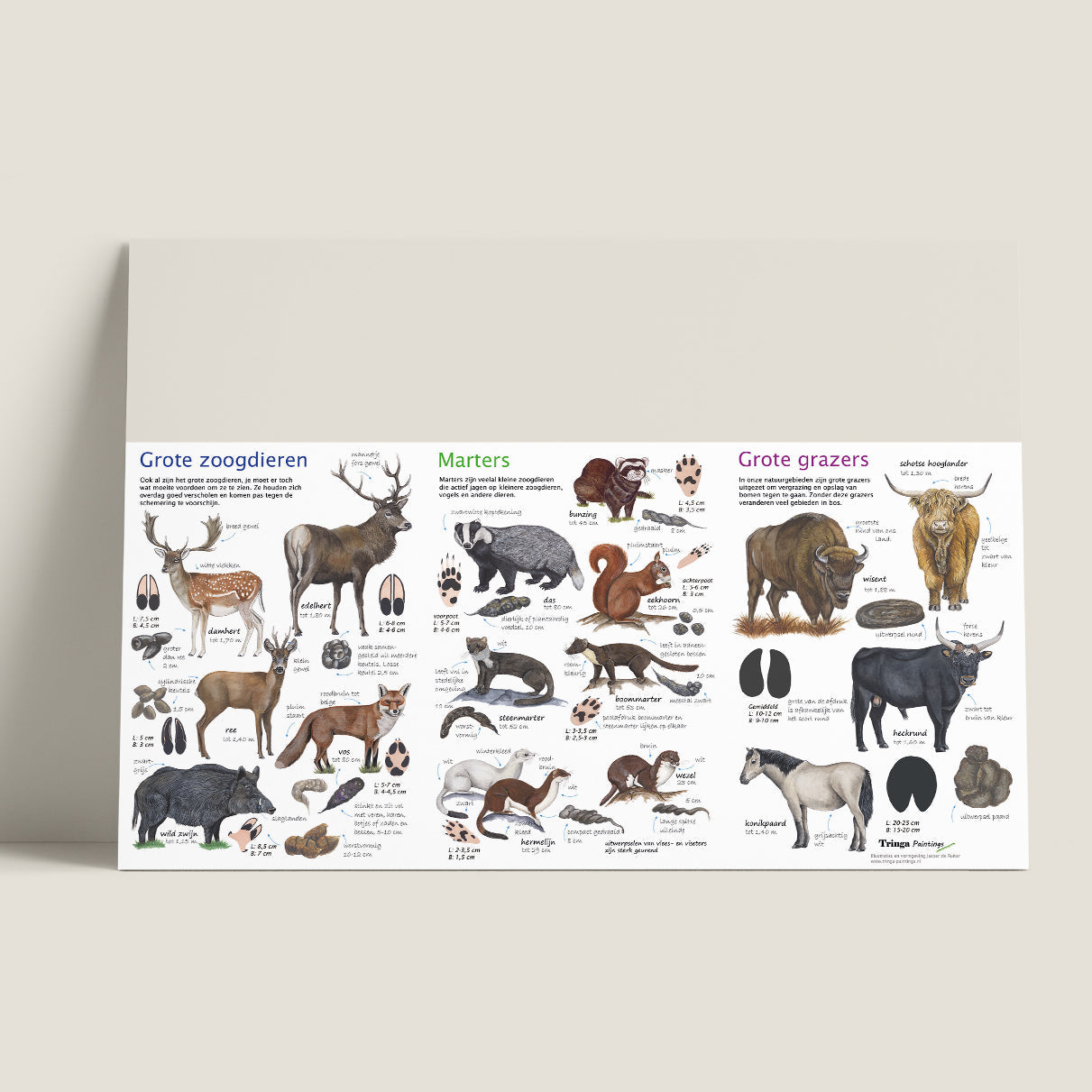 Wie ben ik? Zoekkaart Zoogdieren