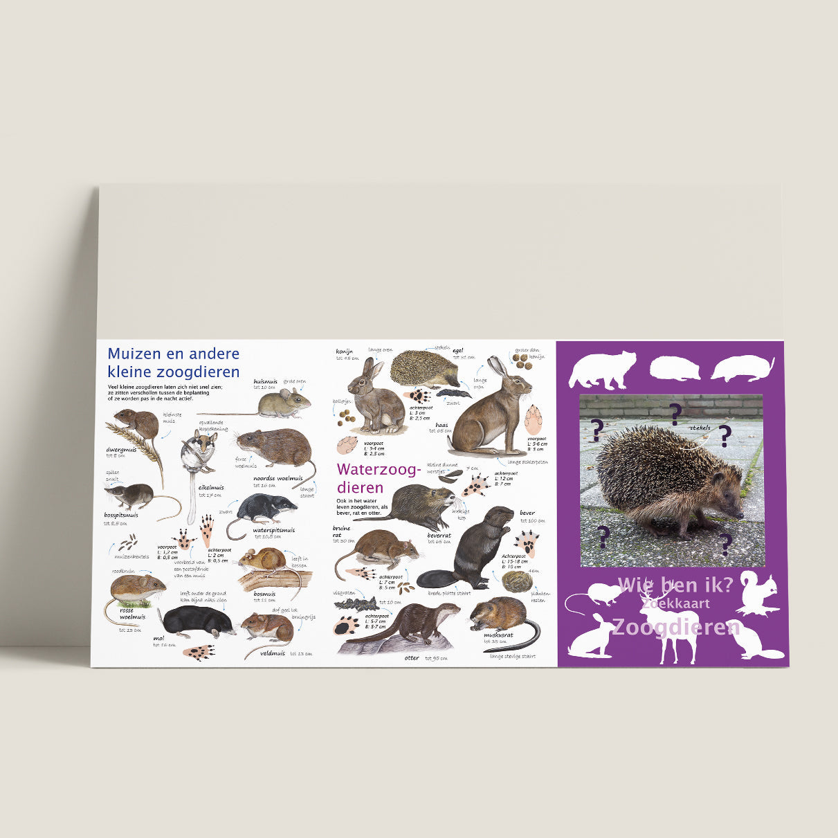Wie ben ik? Zoekkaart Zoogdieren